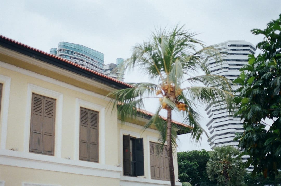 A serene Singapore landed home surrounded by mature greenery in warm daylight